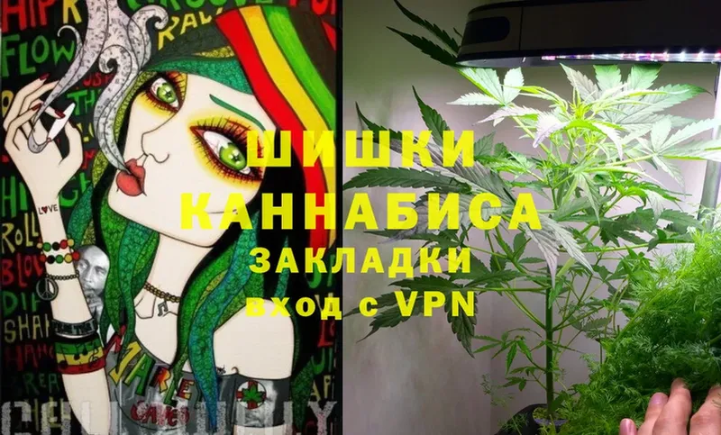 Марихуана White Widow  где найти наркотики  Норильск 